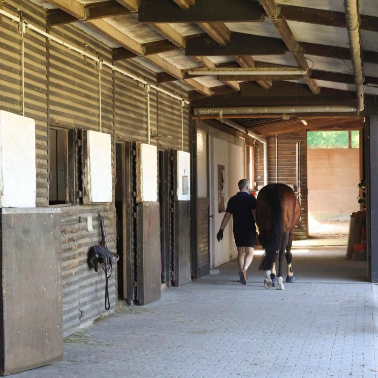 gang-zum-stall